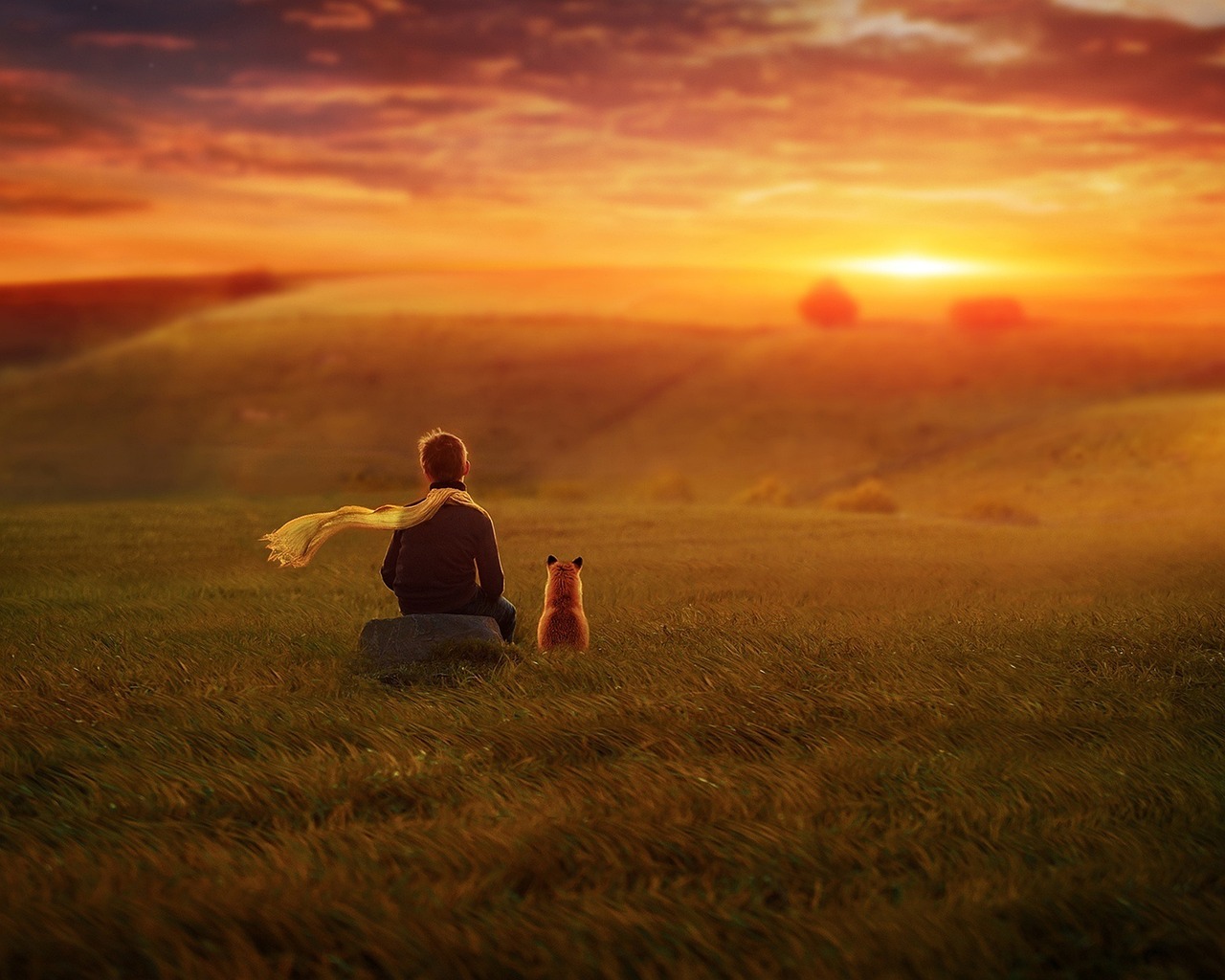 the little prince, grass, scenery