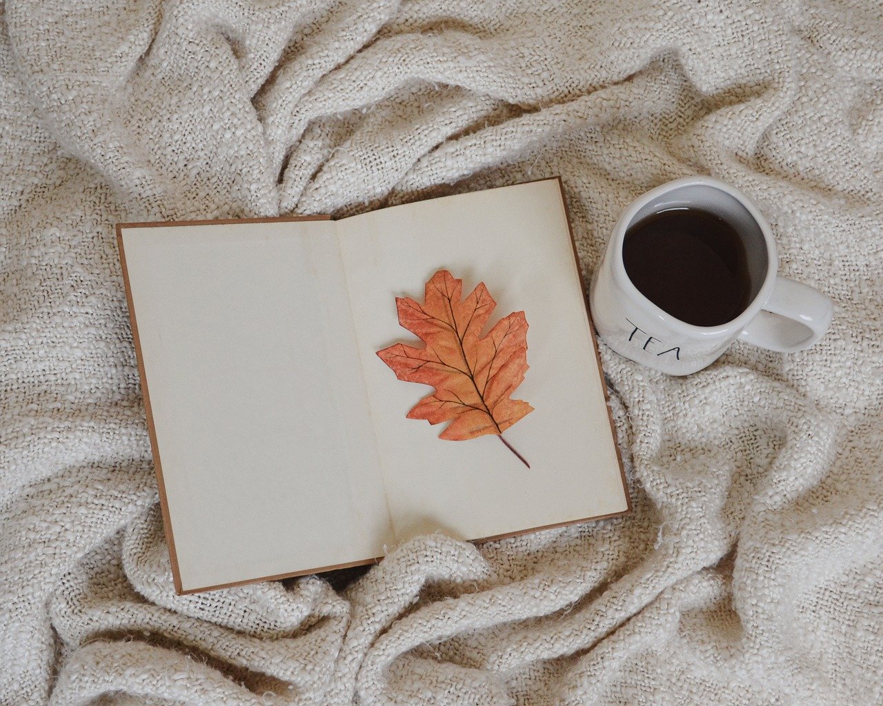 libro, hoja, té