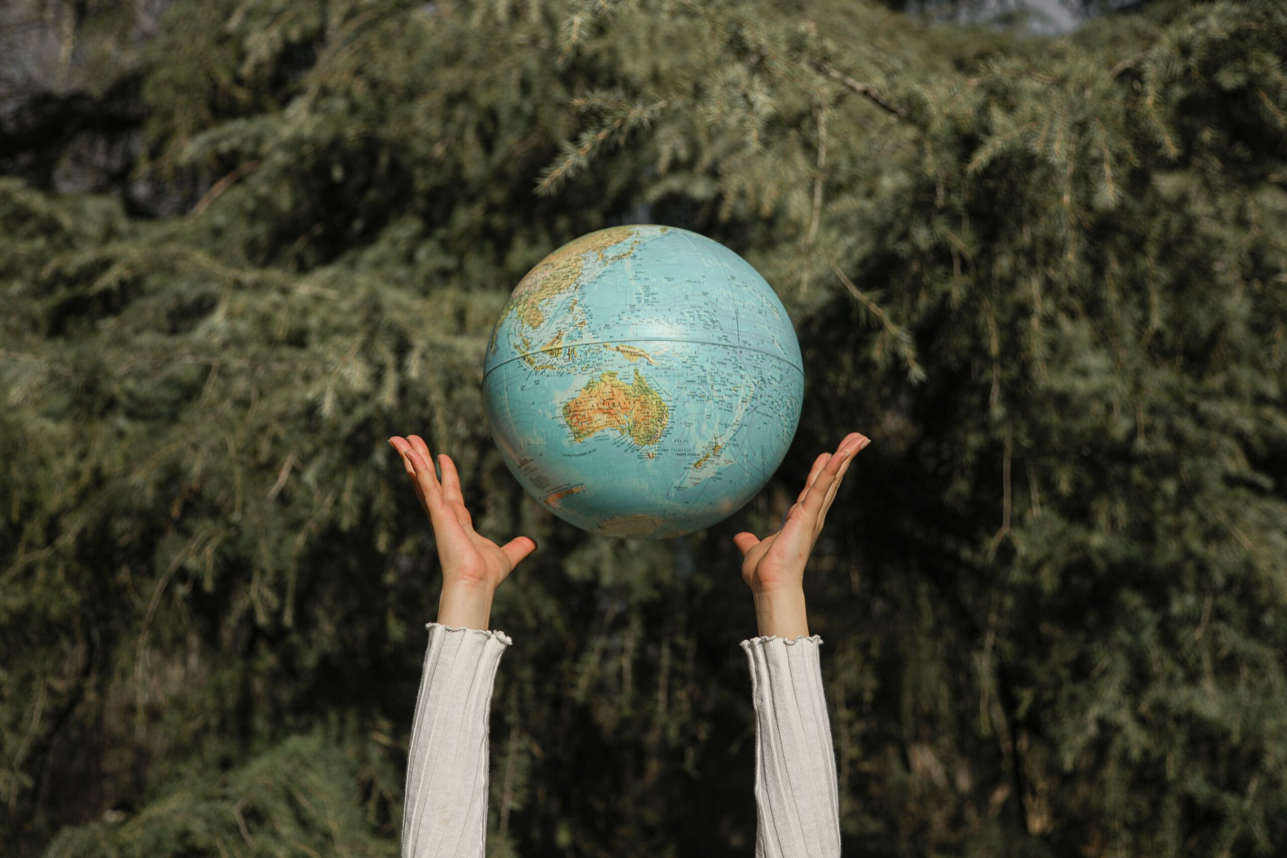 Manos que alzan un globo terráqueo con un frondoso paisaje arbolado de fondo, simbolizando la conciencia ambiental.